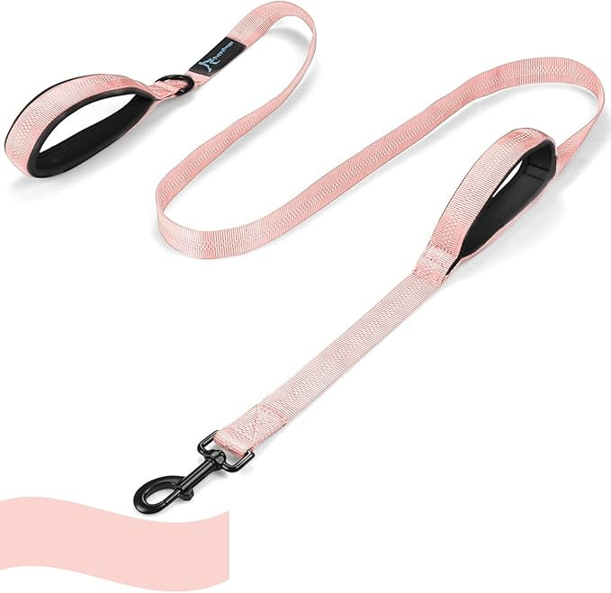 PuppyDoggy Dog Leash 6 FT Soft Padded Handle Dog Lead with 3 Reflective Thread for Large Medium S... | Amazon (US)