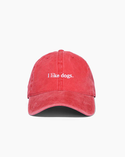 I like dogs. | Dad Hat | Red | Diogie