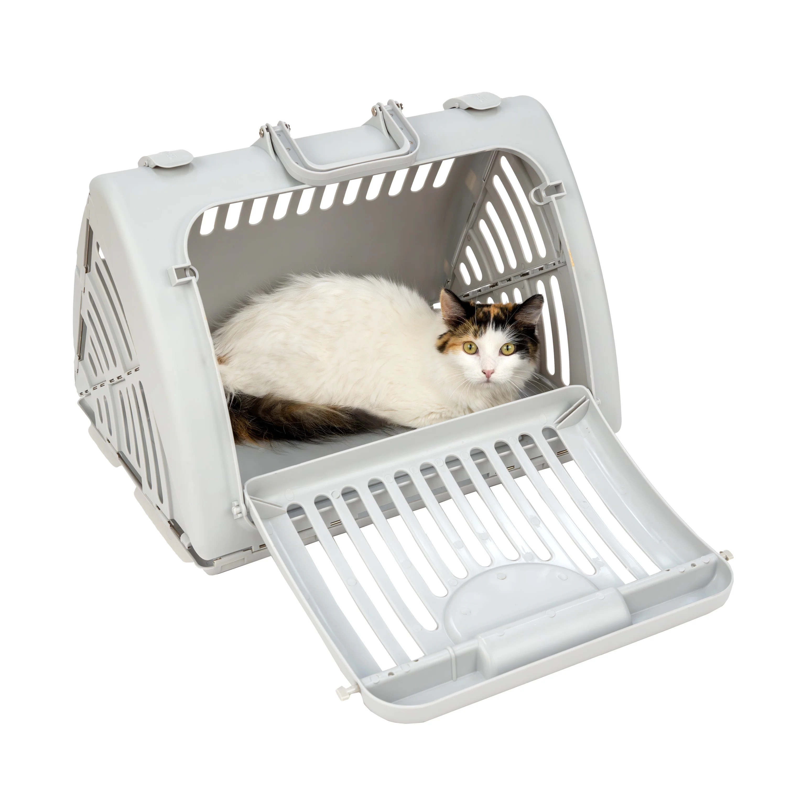 Vibrant Life Foldable Plastic Travel Cat Carrier, Gray, One Size - Walmart.com | Walmart (US)