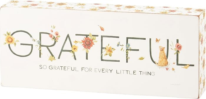 Primitives by Kathy So Grateful Box Sign | Amazon (US)