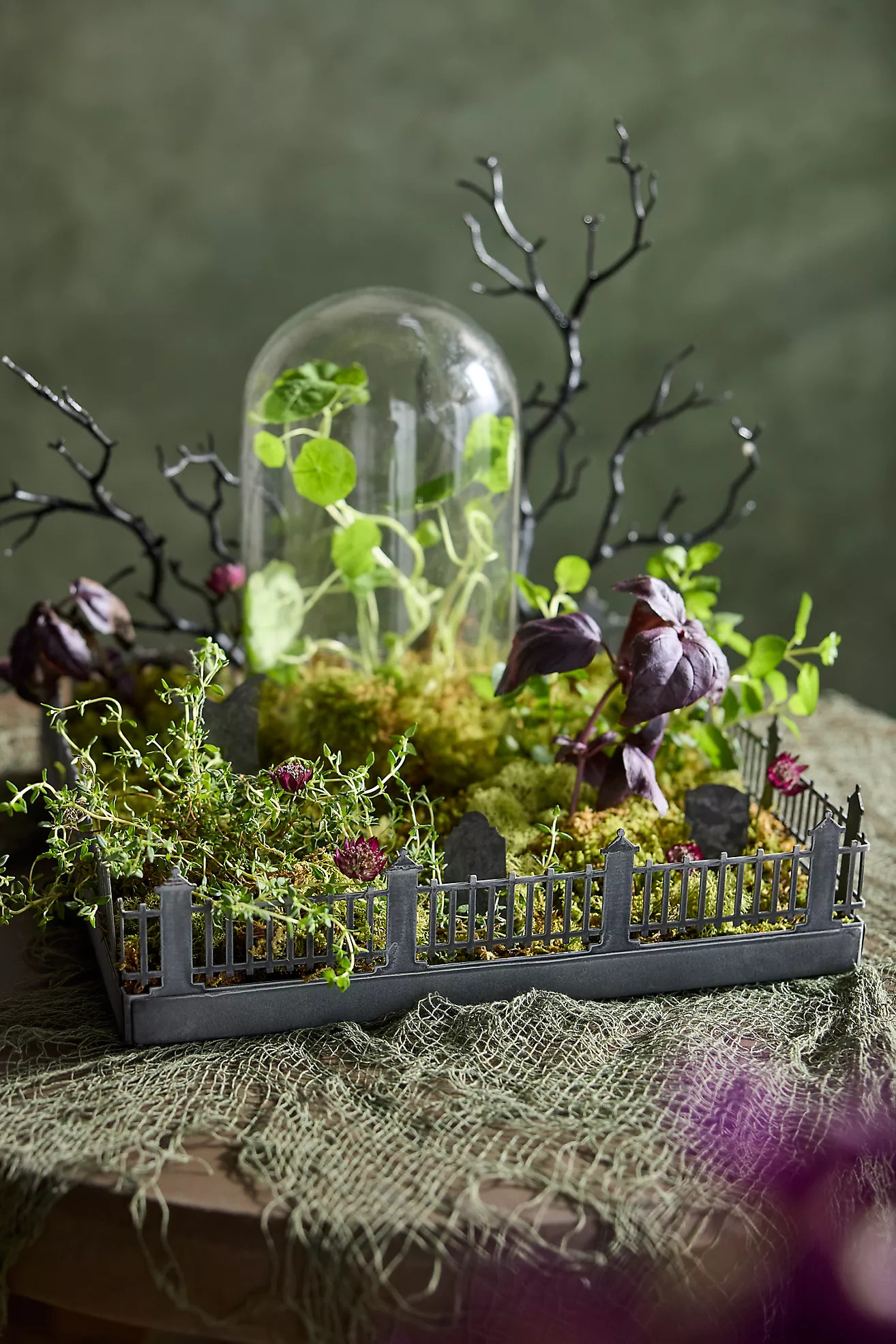 Concordville Spooky Village Fenced Tray | Anthropologie (US)