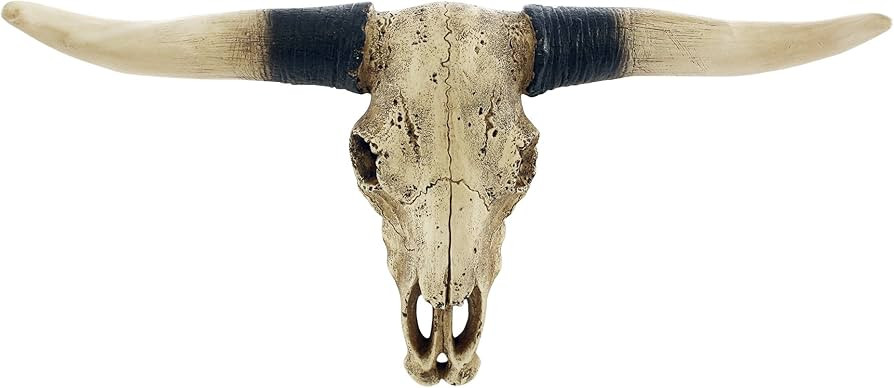 Pine Ridge Southwestern Bull Longhorn Skull - Steer Bull Head, Rustic Chic Wall Hanging Texas Dec... | Amazon (US)