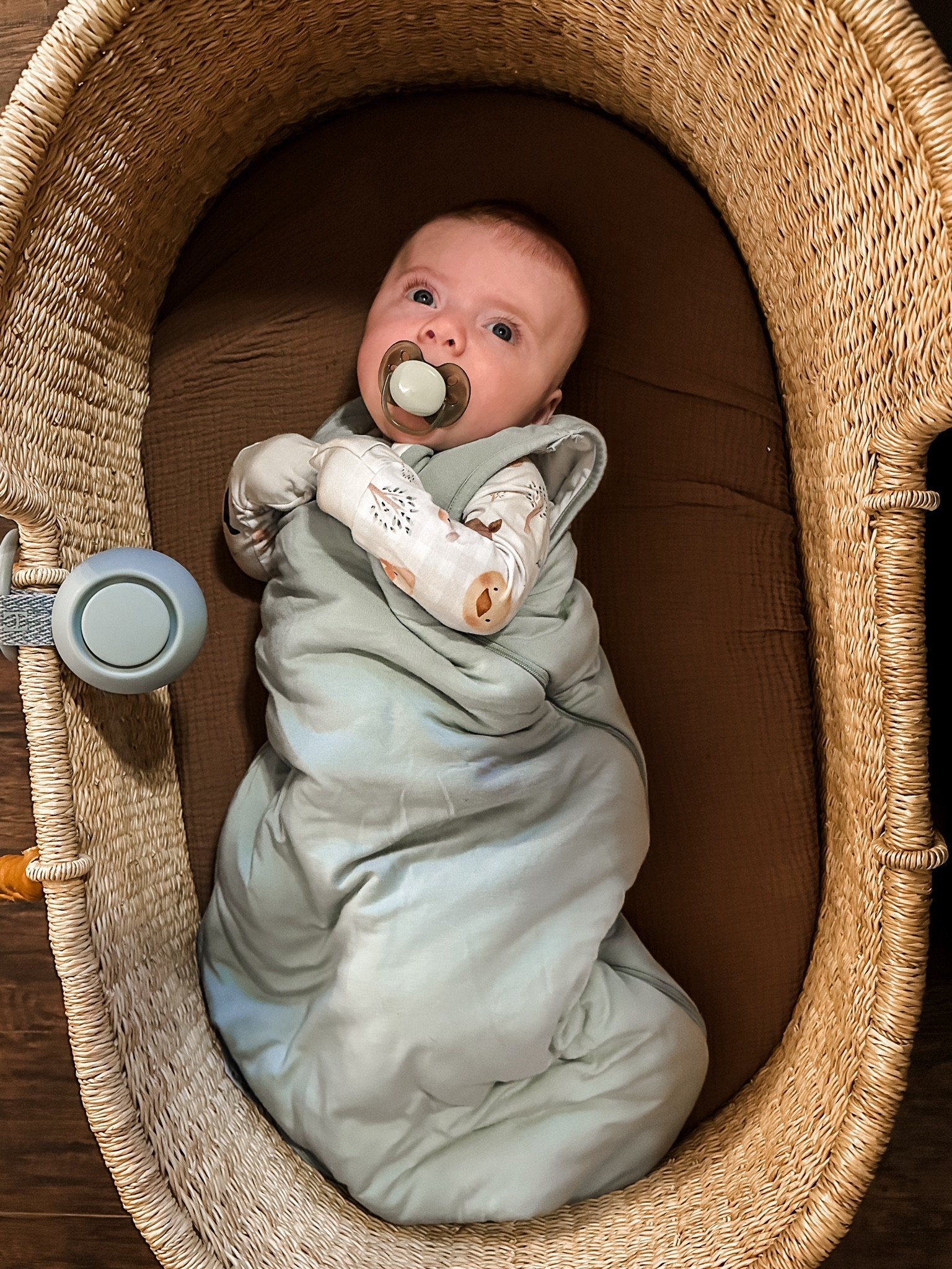 We love this bassinet to bring with us when we have late nights out and the portable sound machine is a life saver! Highly recommend this sleep sack too. Just like kyte baby but much cheaper!

#LTKBaby #LTKTravel