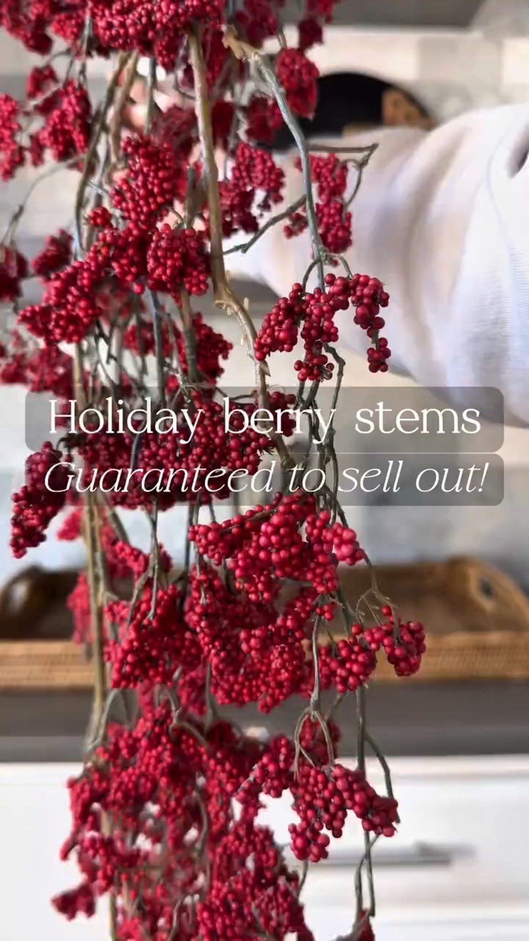 These holiday berry stems are stunning! 😍 This one is 56” long!

#christmasdecor #holidaydecor #fauxflowers #ralphlaurenchristmas #classicchristmas #christmasarrangement 

#LTKFindsUnder100 #LTKHome #LTKHoliday