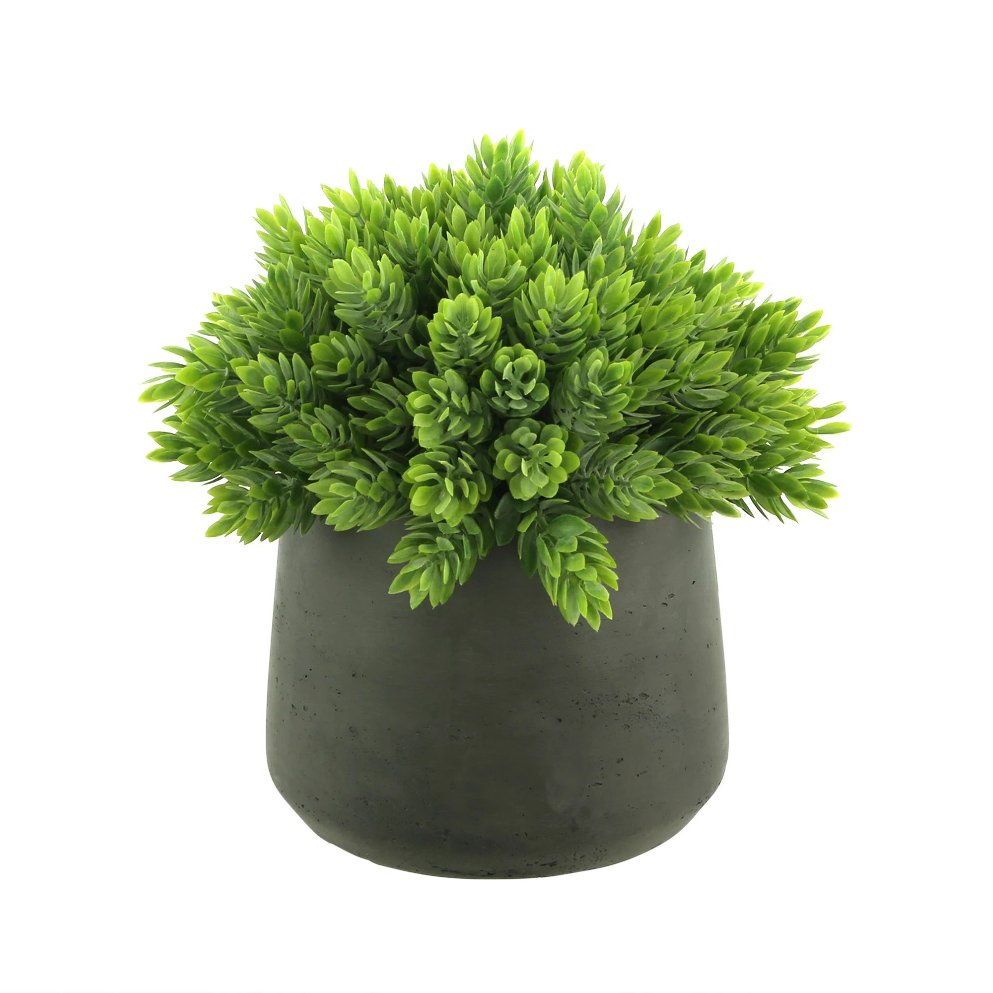8'' Faux Plant in Fiberstone Pot | Wayfair North America