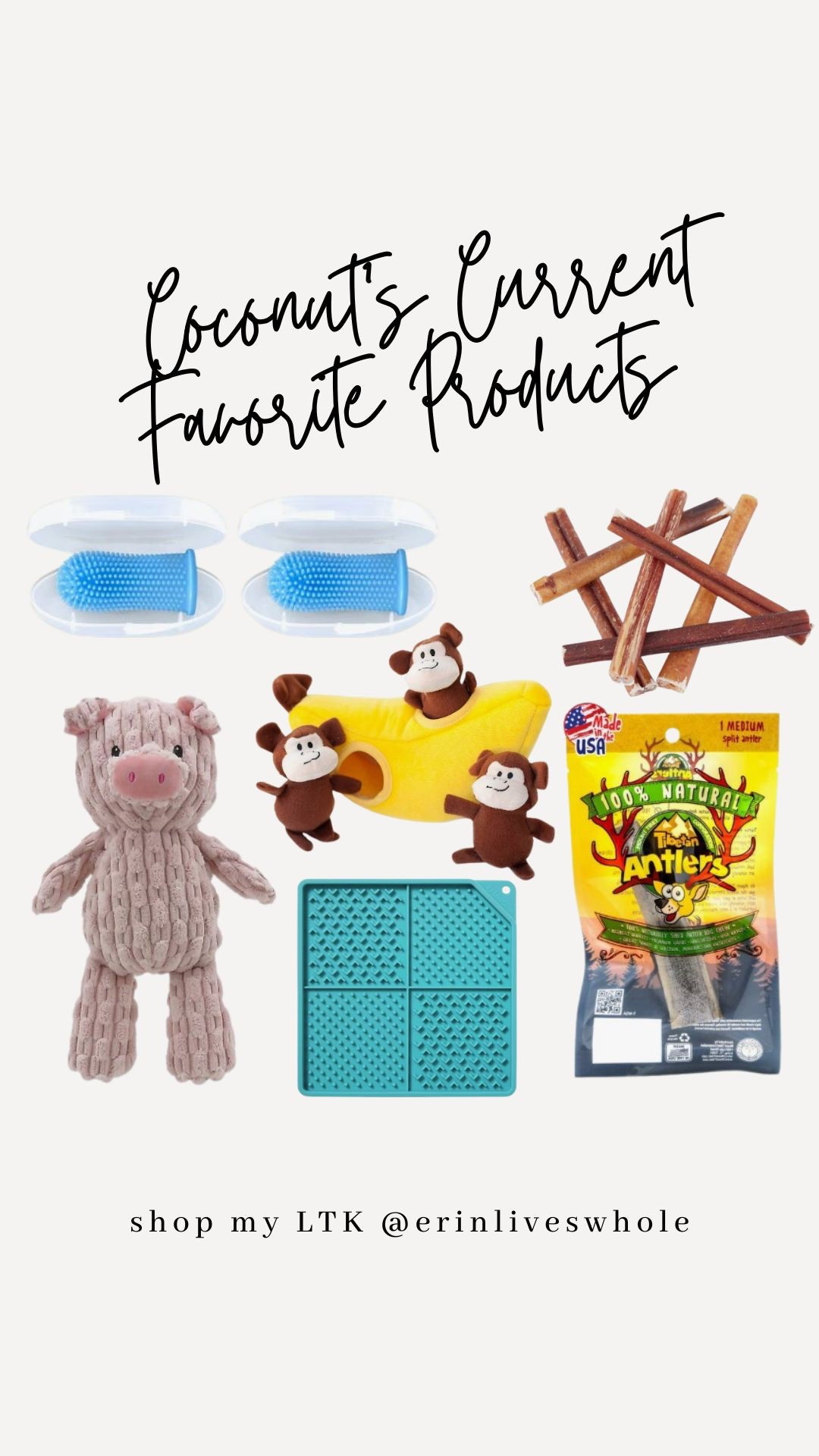 Coconut’s Current Favorite Products @chewy #chewypartner

#LTKPets #LTKFamily #LTKFindsUnder50