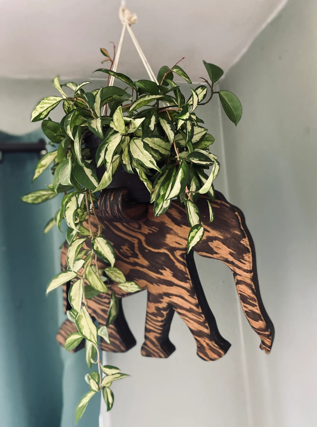 Elephant plant hanger, wood planter, indoor plant hanger, plant shelf, elephant decor, plant acce... | Etsy (US)