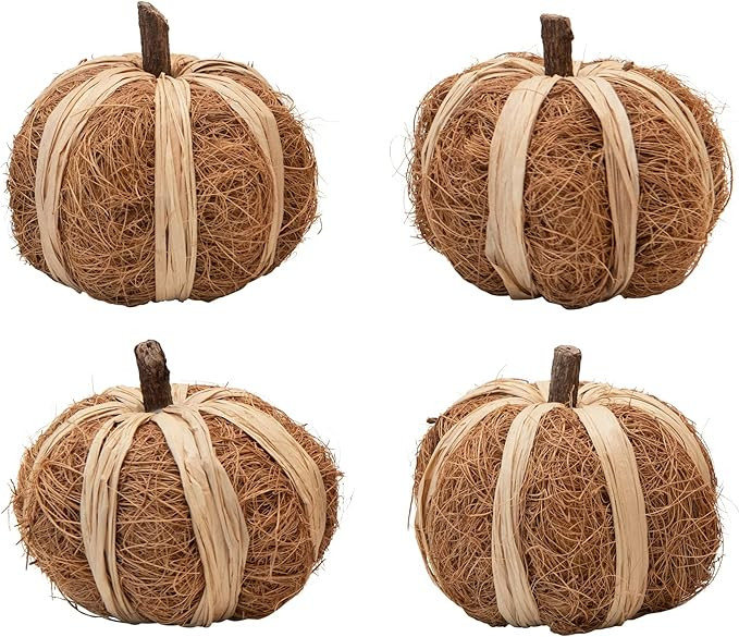 Creative Co-Op Dried Natural Coco Fiber & Raffia Pumpkin Filler | Amazon (US)