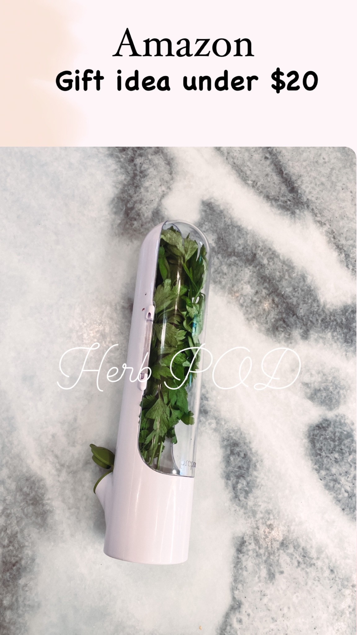I’ve been amazed at the functionality of this product! I’ve had my herbs inside it for five weeks and they literally look like they were just picked! Complete fresh and the same as the day they were put inside. Reviews say it also works great for veggies. 

#LTKSeasonal #LTKHoliday #LTKunder50