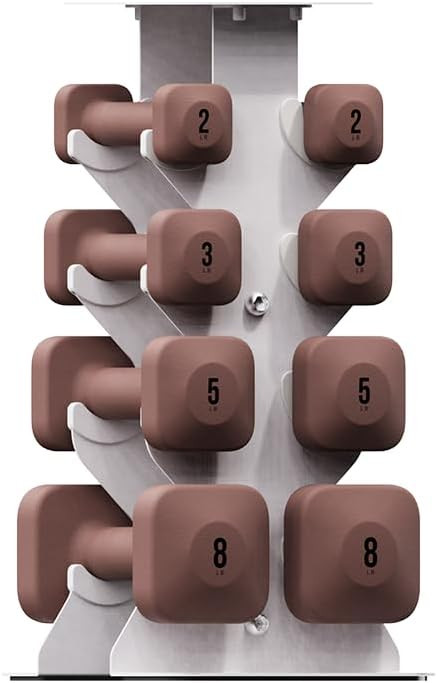 SafeGrip Dumbbells (2+3+5+8LB, Pair, Rose) with White Dumbbell Rack, for Secure Workouts at Home ... | Amazon (US)