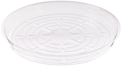 Hydrofarm HGS12 Clear 12-Inch Saucer, pack of 10 | Amazon (US)