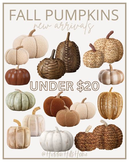 Fall pumpkin decor under $20! Seasonal home decor, fall decor, fall decor finds, cute fall home decor, pumpkins, affordable fall decor #falldecor #pumpkins

#LTKunder50 #LTKhome #LTKsalealert