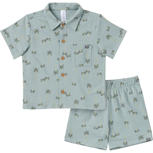 Modern Moments by Gerber Toddler Boys' Resort Shirt and Shorts Set, Blue, 3T | Amazon (US)