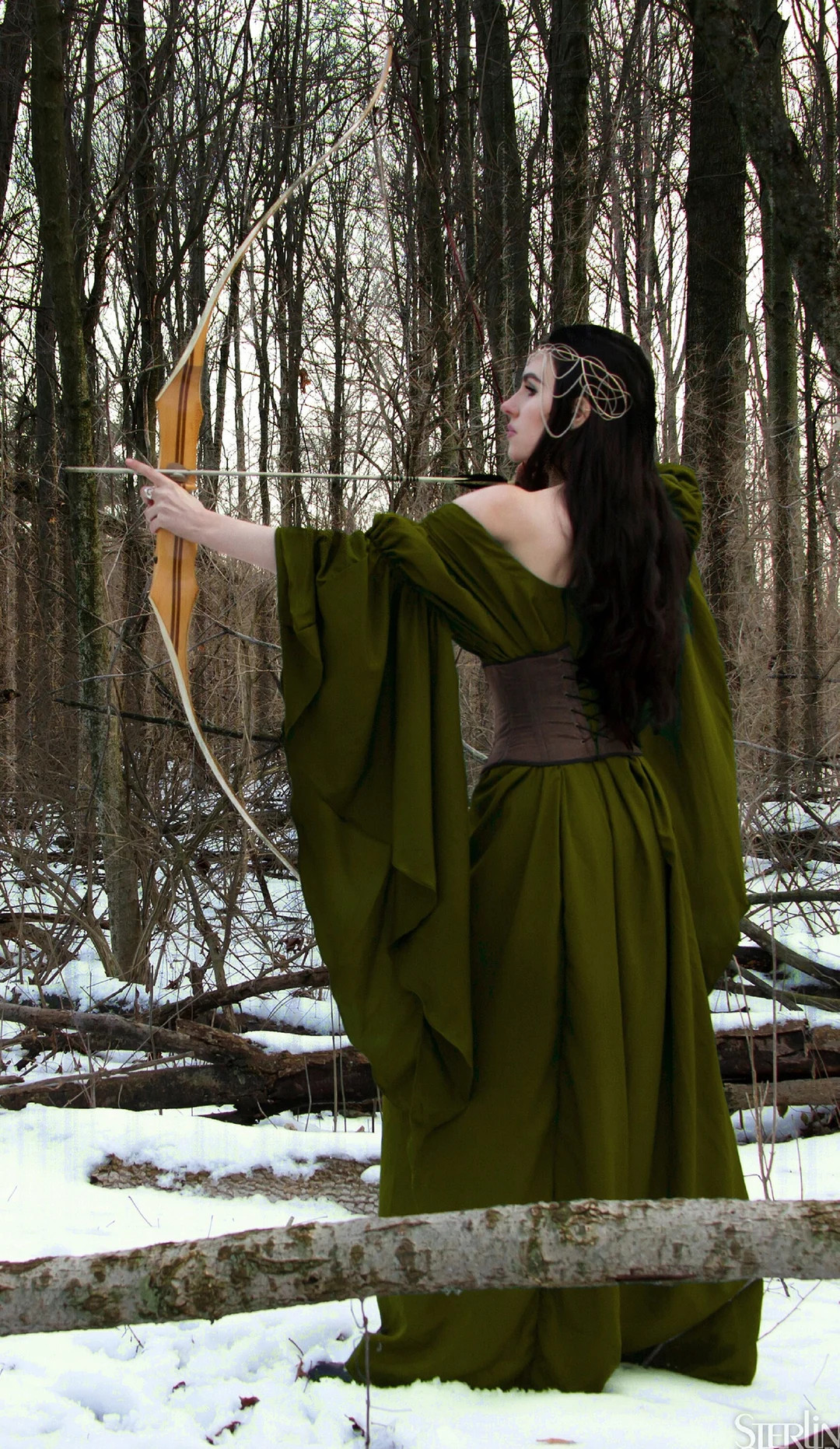 Reminisce the Archeress Renaissance Medieval Hunter Green Fantasy Gown Dress - Etsy | Etsy (US)