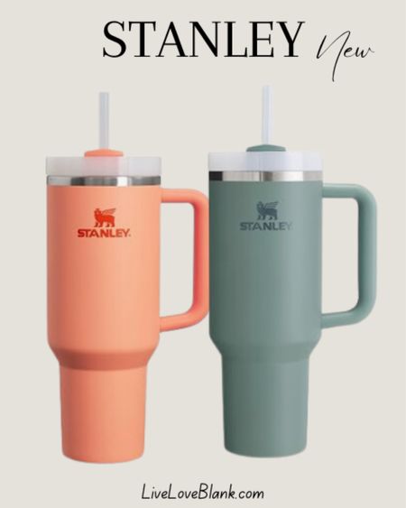 Stanley at Amazon…multiple colors available 

#LTKfindsunder50 #LTKfamily #LTKstyletip