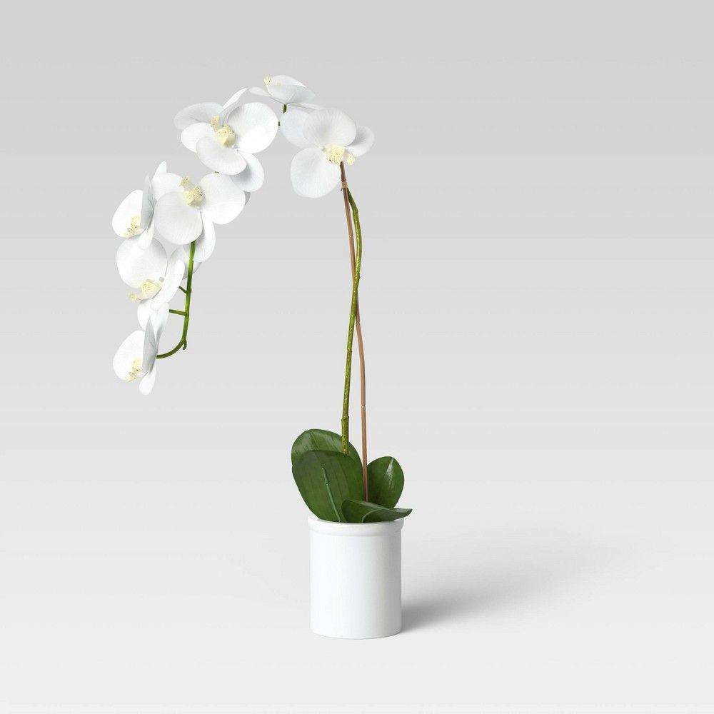 Small Potted Orchid - Threshold | Target