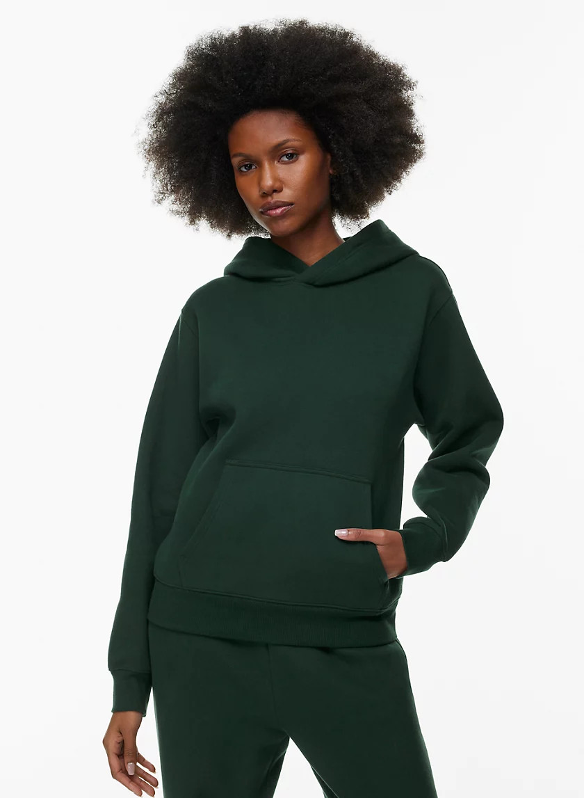 COZY FLEECE PERFECT HOODIE | Aritzia