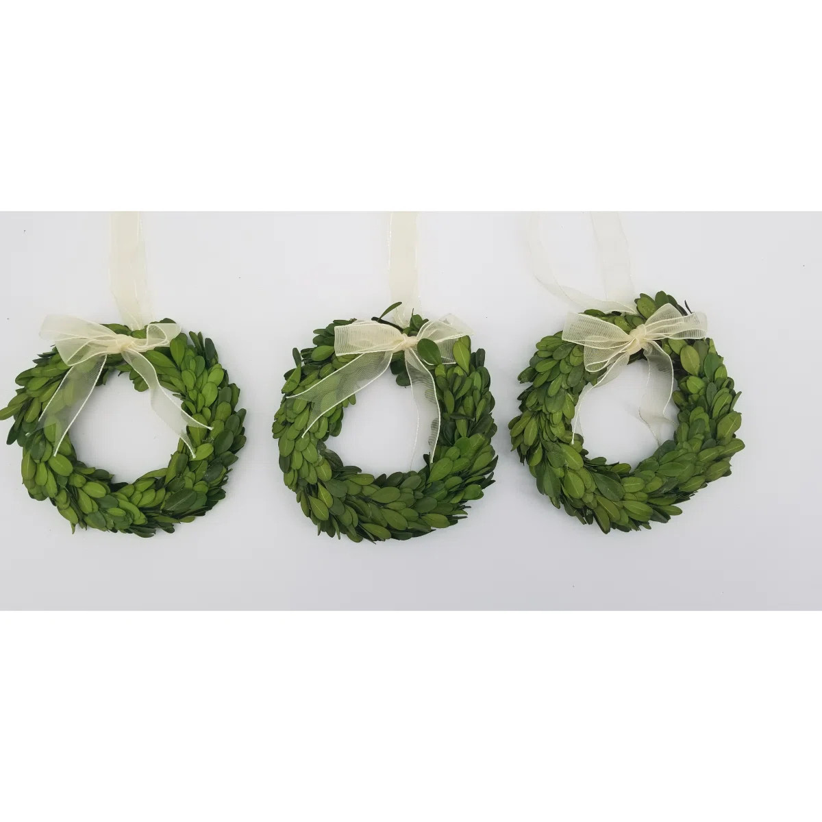 Preserved Greenery Wreath | Wayfair North America