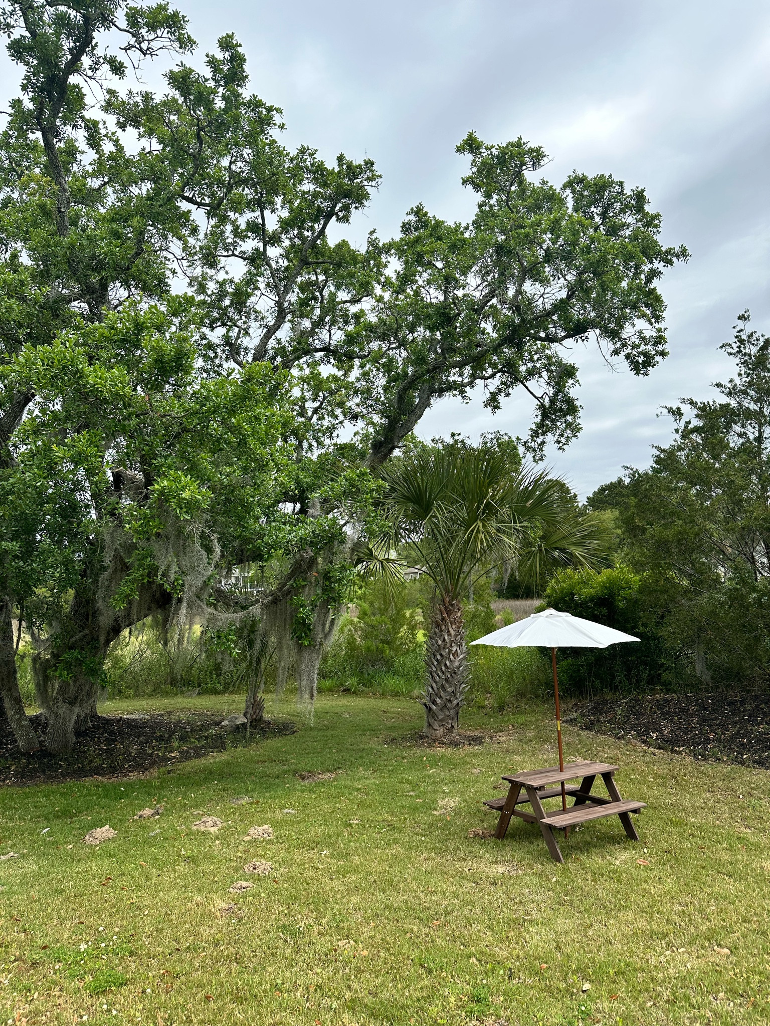 Toddler summer essentials picnic table 

#LTKSeasonal #LTKfindsunder100 #LTKkids