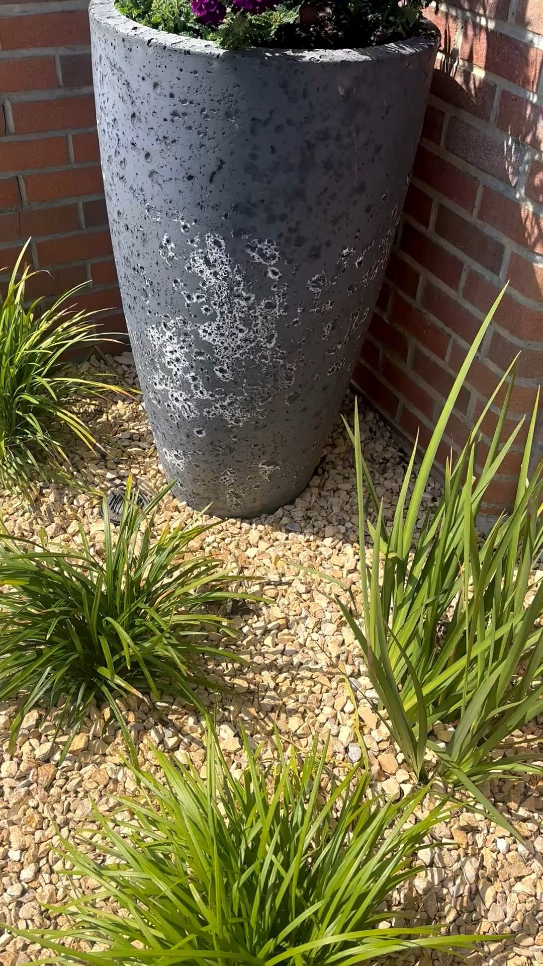 Long weekend mood, inspired by the kind of outdoor spaces that feel effortlessly calm and beautifully put together ✨ A sculptural oversized planter layered over clean gravel instantly gives that tailored, resort-like outdoor feel—simple, neat, and so chic. Add a firepit moment, and suddenly your backyard becomes the place you never want to leave. Memorial Day Sale is on.

#planter #oversizedplanter #firepit #backyardideas #outdoorliving #outdoorstyling #landscapeinspo #hardscape #gardeninspiration #resortstyle #coastalchic #ltkhome #memorialdaysale

#LTKdayinmylife #LTKHome #LTKSaleAlert