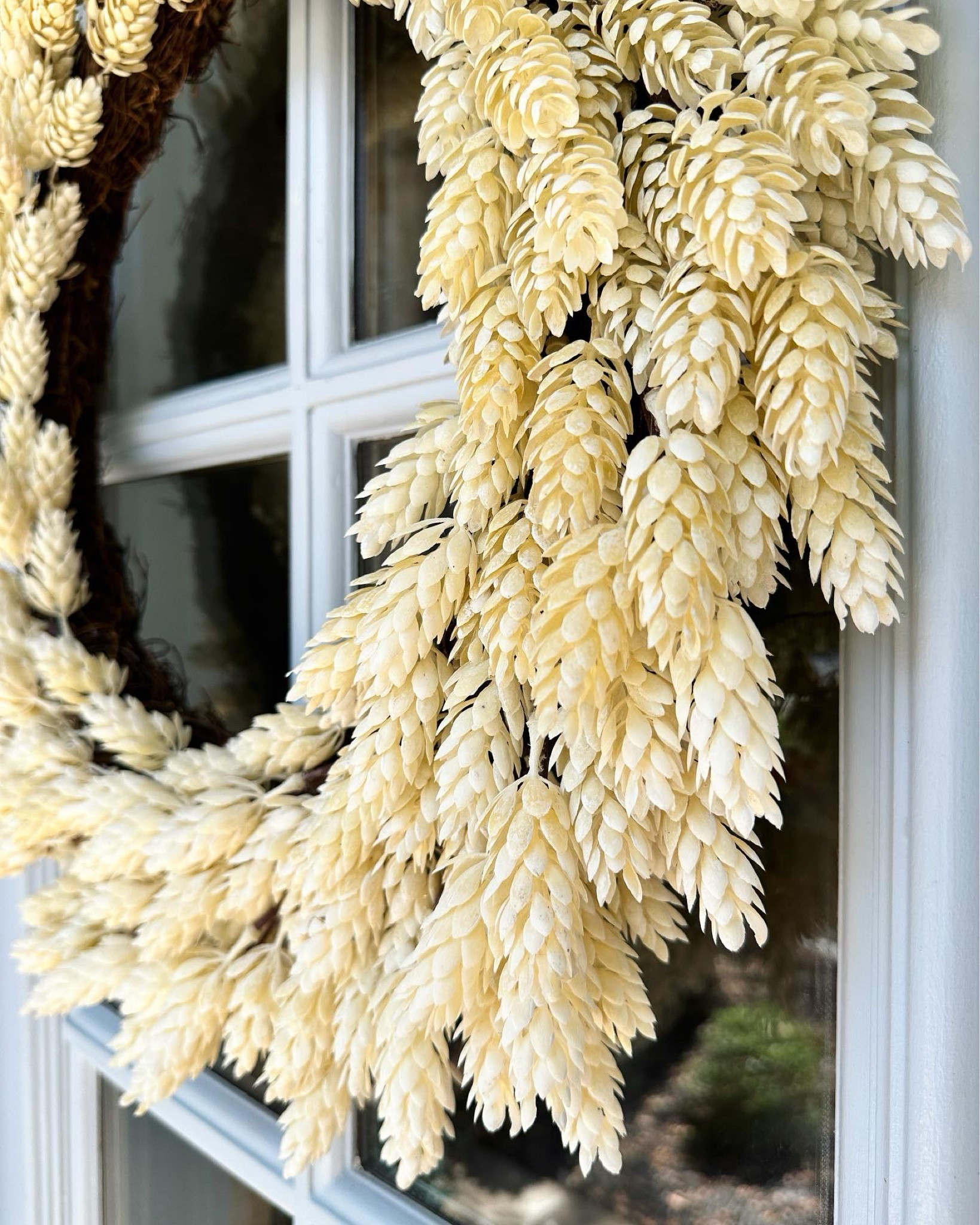 My wreaths! I bought mine last year and they’ve lasted ever since! Even in this Texas heat 😅 They’re still available to purchase, shop below. 

@kirklands #falldecor #wreaths #frontporch

#LTKSaleAlert #LTKSeasonal #LTKHome