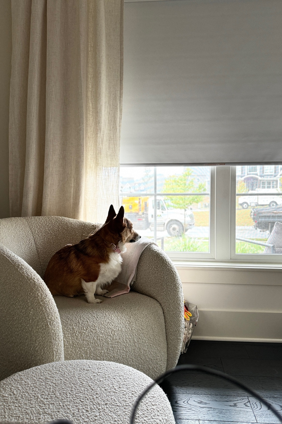 💕 BOUCLE MINIMALIST SWIVEL ACCENT CHAIR 💕 Kennedy loves it. Furniture, Minimalist, Interior Design, Chair, Contemporary, Beige, Lounge , Arhaus, Great Room, Designer, Sofa, Sectional, Rh, Wayfair, Minimal, Swivel, Boucle, Pet, Corgi, White, Soft, Bedroom, Closet, Living Room, Accent, Table, Coffee Table, Functional, Chic, Maximalist, Eclectic, Neutral, Desk, Table, Lighting, ad, Moving, Storage, Office, Desk Chair, Affiliate Link, Rug, LTKsaleAlert, LTKTravel

#LTKBacktoSchool #LTKxWayfair #LTKHome