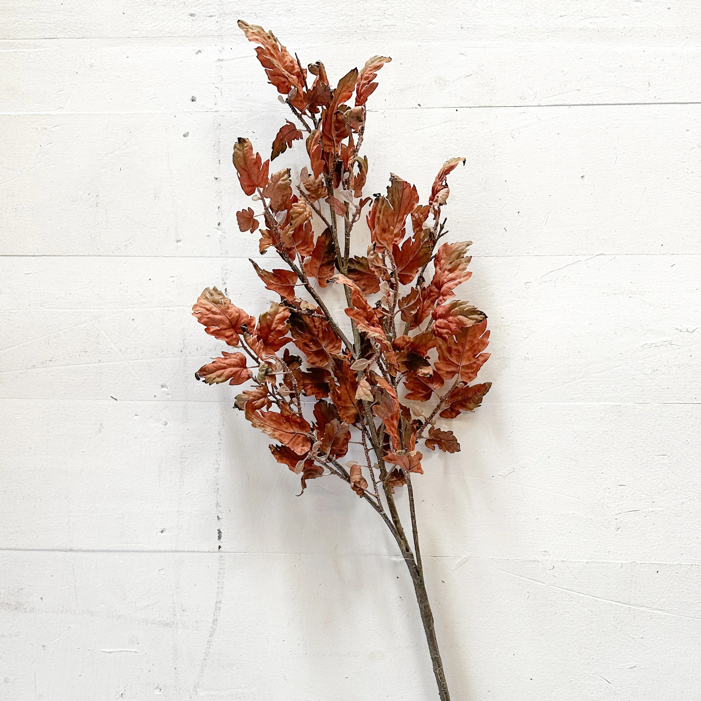 Oak Branch | Purple Rose & Co