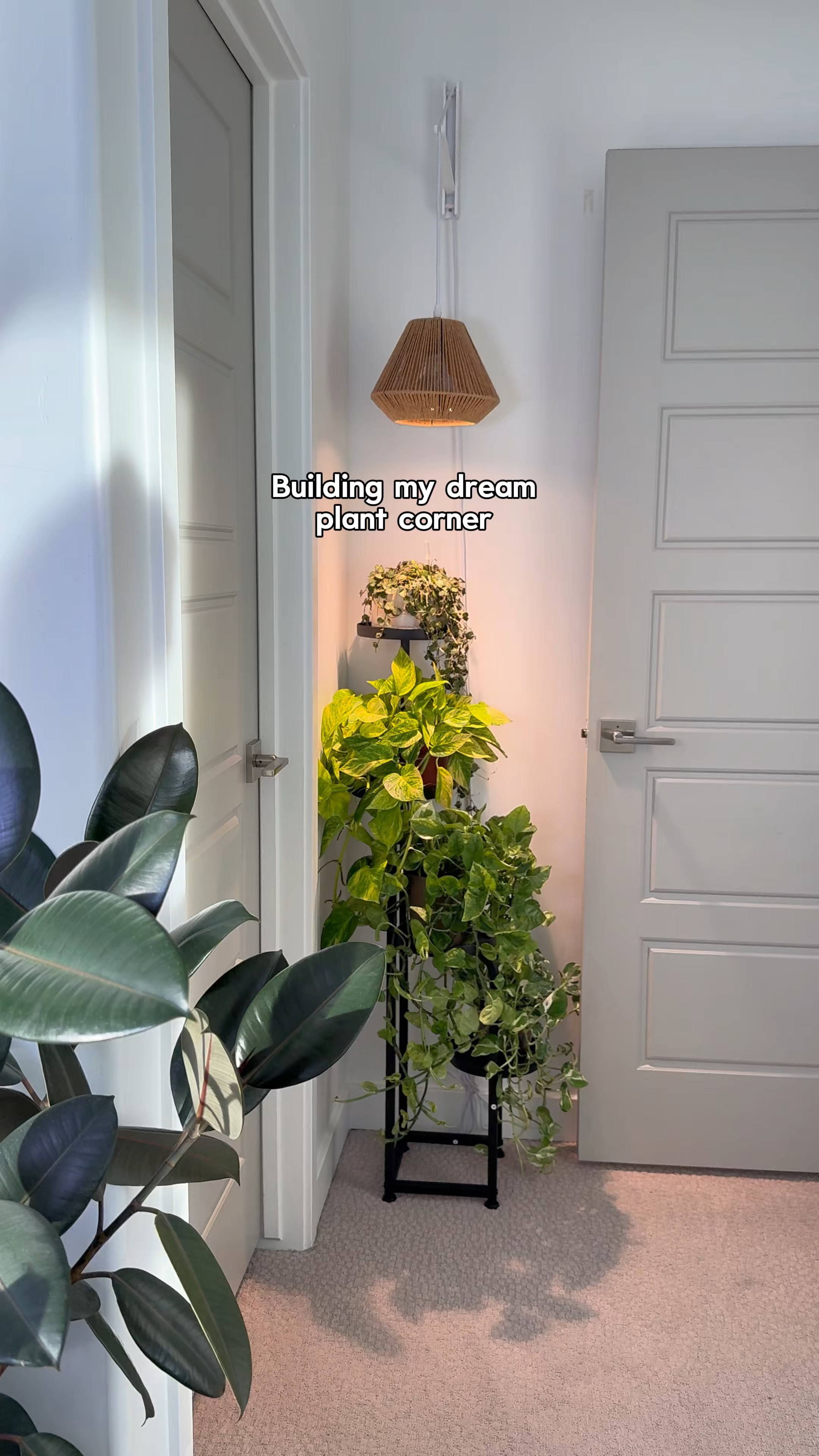 Dreamy plant corner 

#LTKU #LTKHome