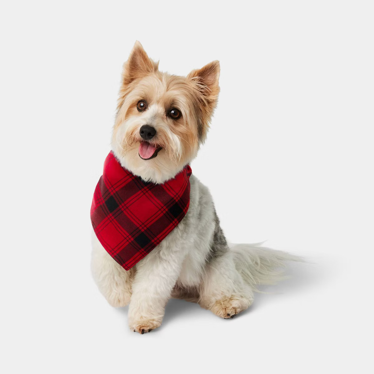 Plaid Dog Bandana - Wondershop™ Red/Black One Size Fits Most | Target