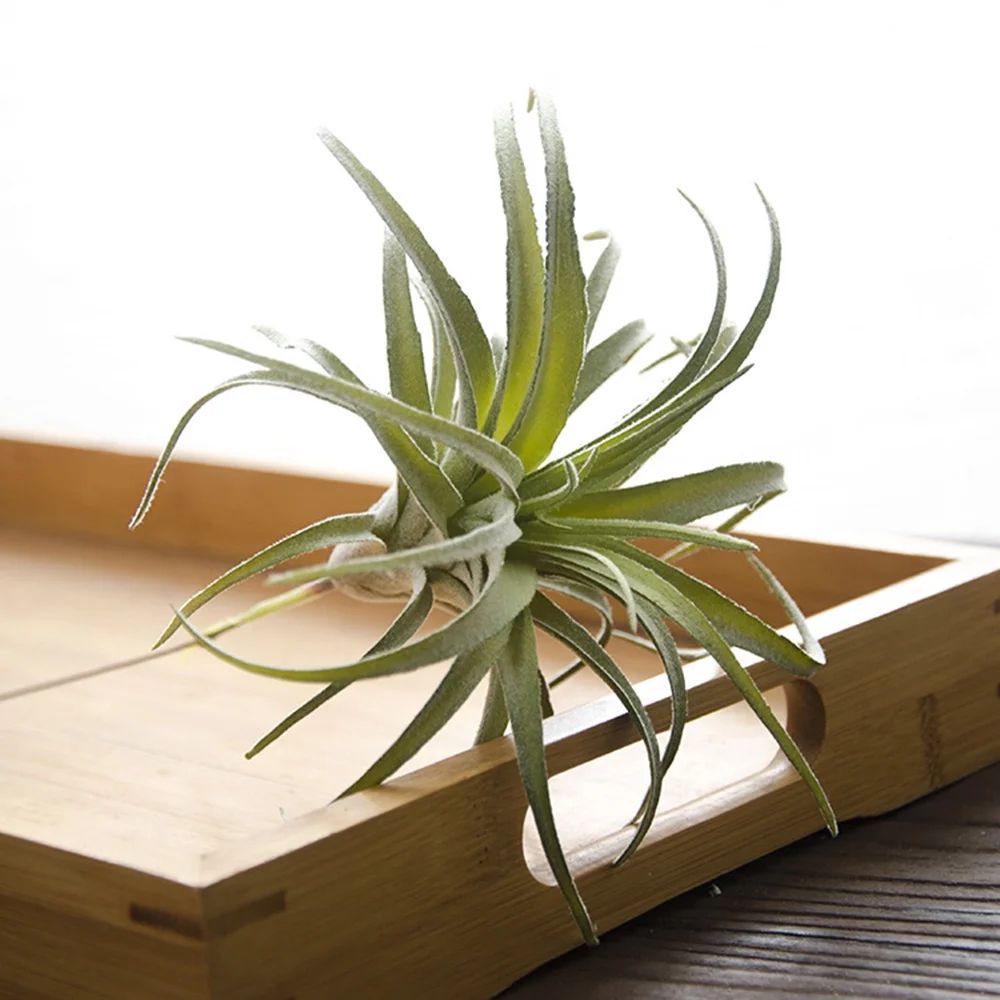 New Artificial Pineapple Grass Air Rattan Plants 6 Types Simulation Green Plants Wedding Home Off... | Walmart (US)