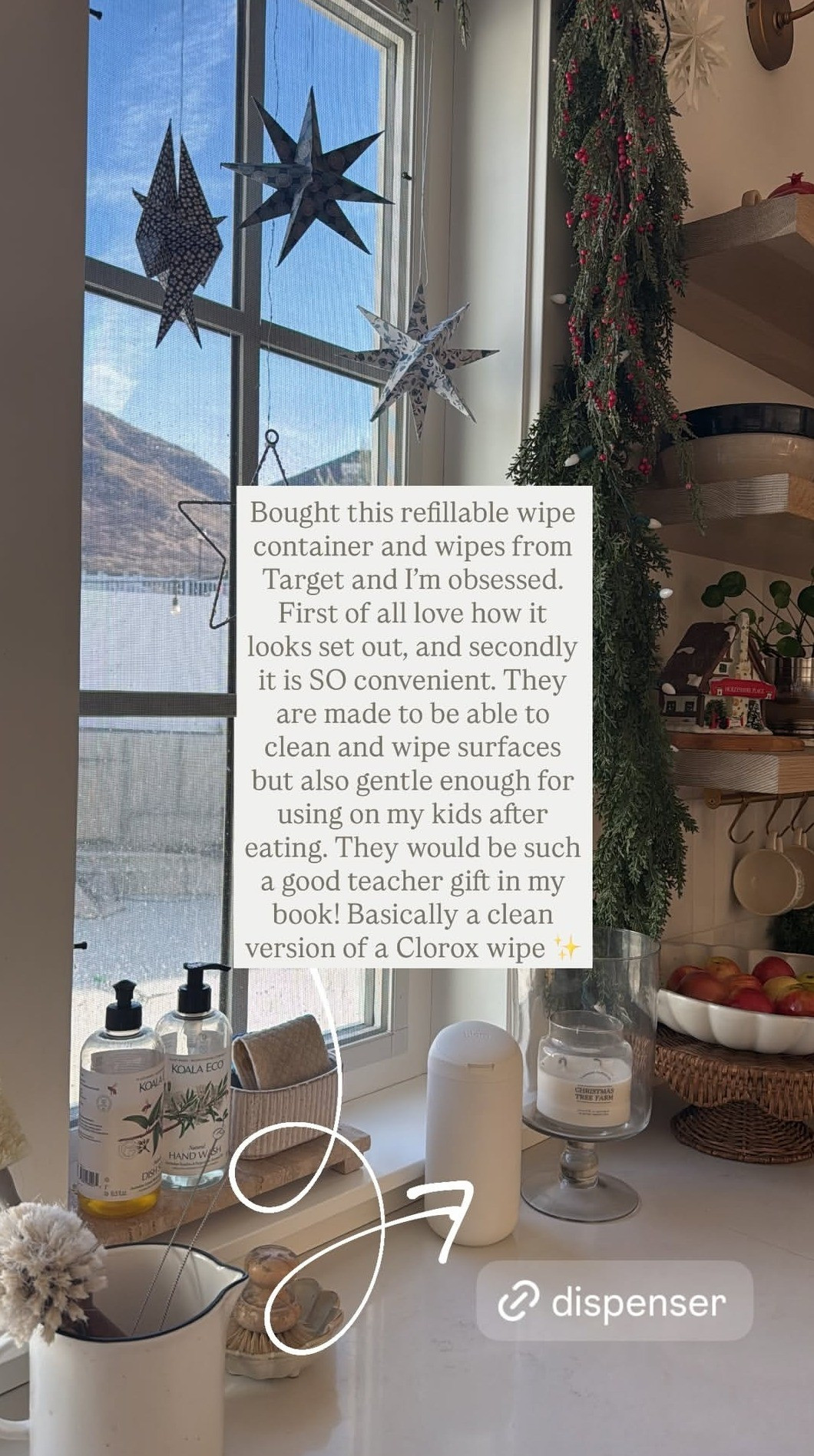 Convenient and clean. I love these Biom wipes and that I can refill the container again and again! 

#LTKmomlife #LTKFindsUnder50