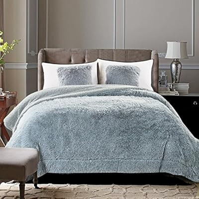 Chanasya Shaggy Longfur Faux Fur Throw Blanket - Fuzzy Lightweight Plush Sherpa Fleece Microfiber... | Amazon (US)