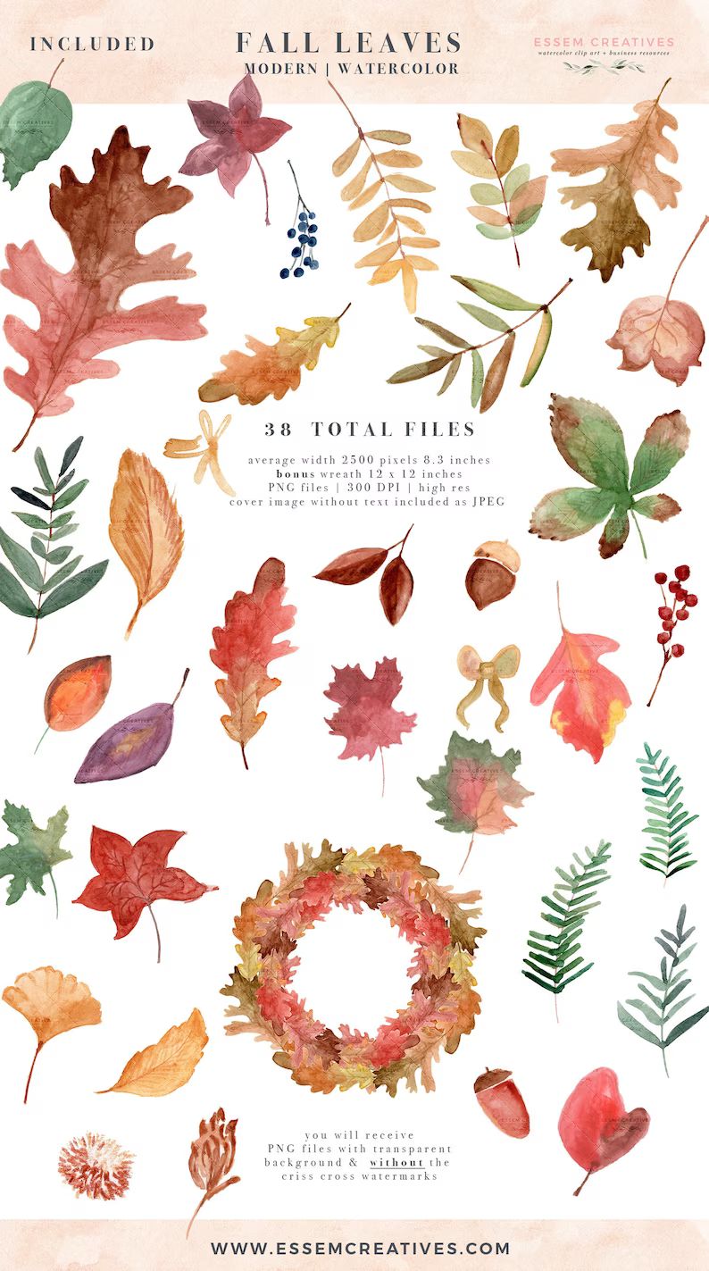 Watercolor Fall Leaf Clipart, Autumn Leaves Clip Art, Thanksgiving Clipart, Fall Graphics, Digita... | Etsy (US)