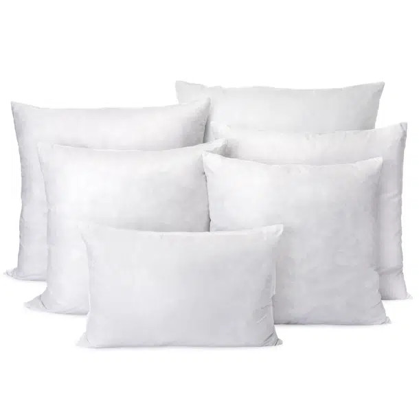 Feather Reversible Pillow Insert | Wayfair North America