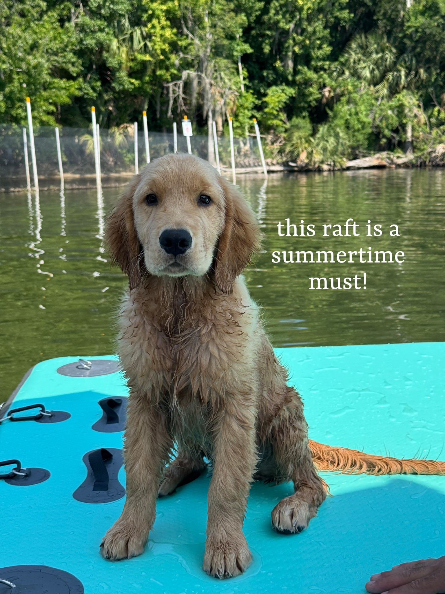 This floating dock has a mini ladder and great for boat days! Great for your kids, dogs, and for tanning on the water.

#LTKSwim #LTKTravel #LTKPets