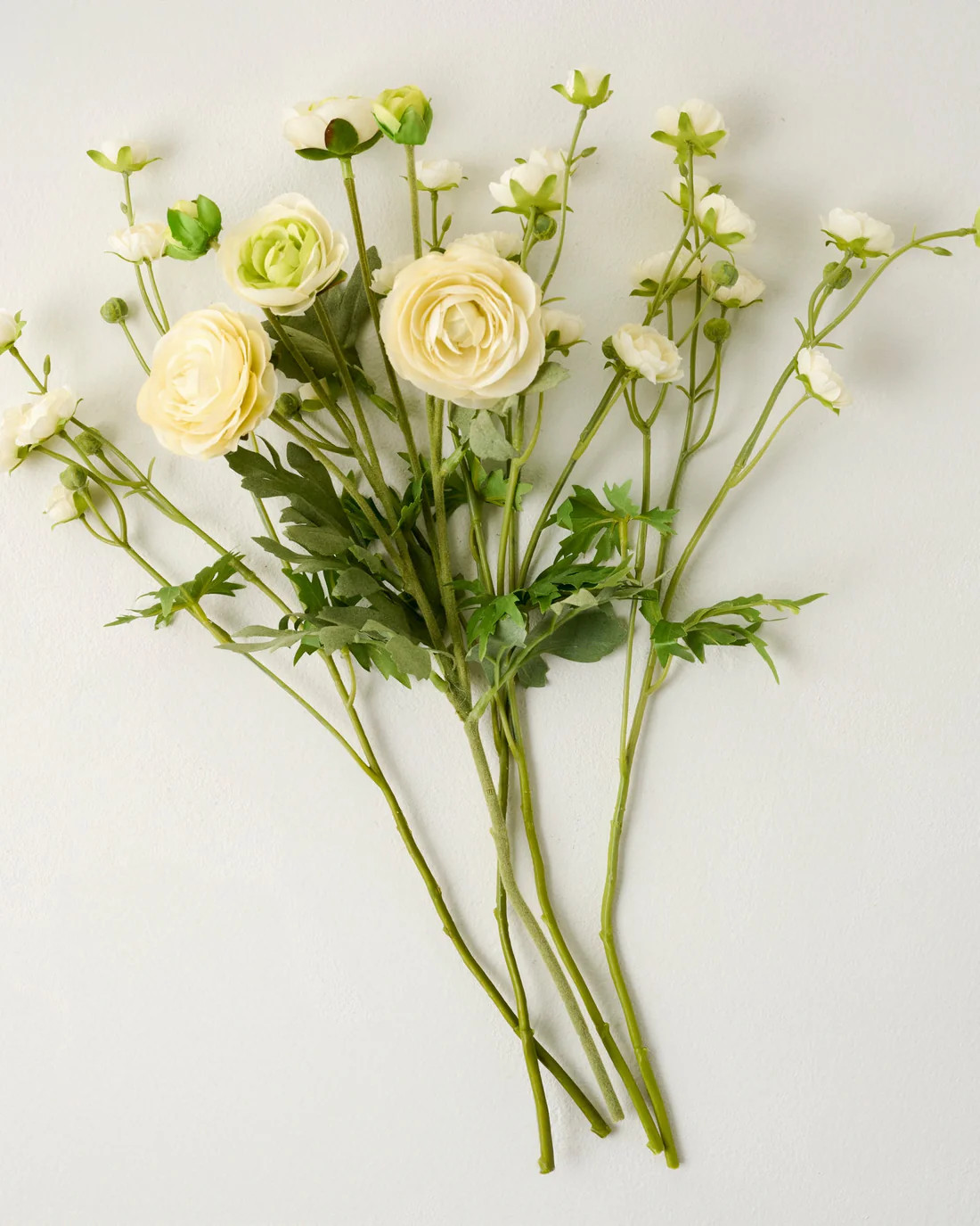 Ranunculus Bloom Bundle | Magnolia