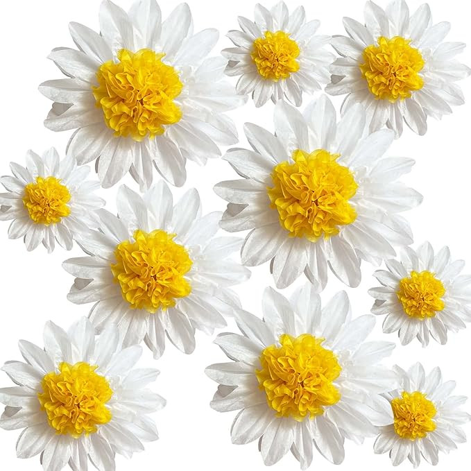 ANSOMO Daisy Tissue Paper Pom Poms Party Decorations White Yellow Flowers Wall Hanging 1st Birthd... | Amazon (US)