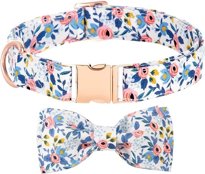 Bow Tie Collar for Dogs, Girl Dog Collar Puppy Collars Floral Pattern Personalized Dog Collar Dog... | Amazon (US)