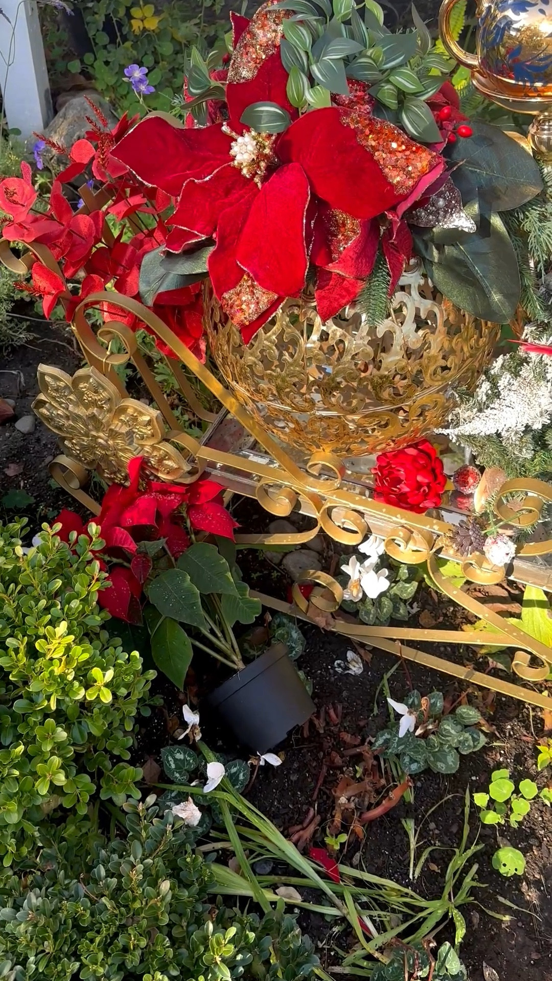 Merry Christmas 🎄
Wishing you a day filled with calm, comfort, and quiet joy.
#MerryChristmas #ChristmasDay #HolidayMoments

#LTKHome #LTKGiftGuide #LTKHoliday