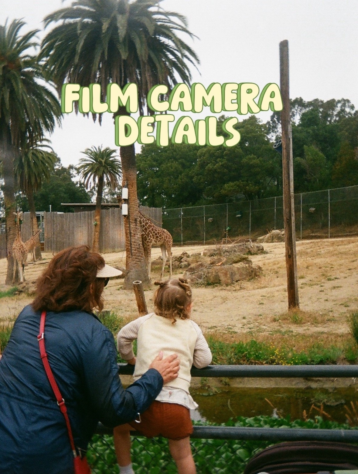 Cheap, reusable film camera details! 🎞️🤩 I bring this guys everywhere with us! Takes 72 pictures per roll of film! 

#LTKFamily #LTKSummerEdit #LTKGiftGuide