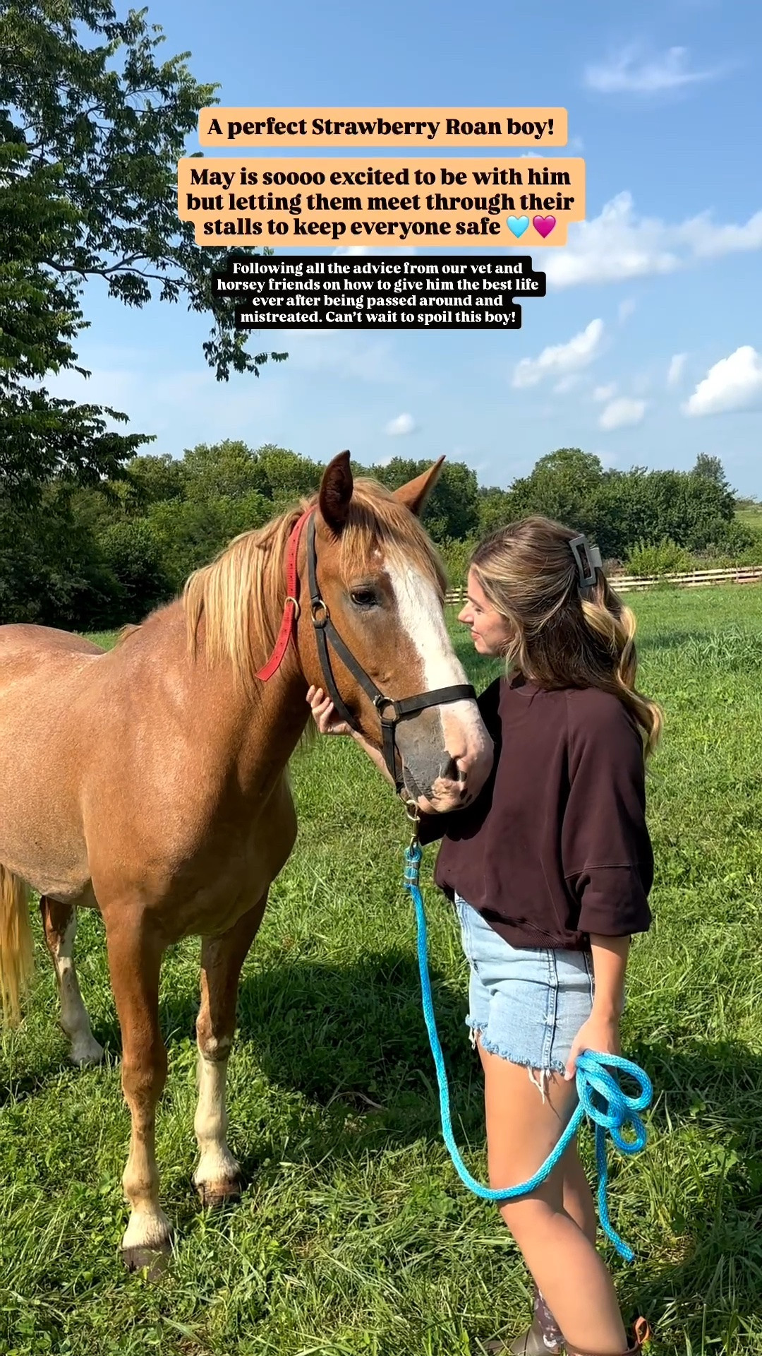 Sometimes you just get giddy about a horse and have to say yes even when it seems crazy! This sweet boy still doesn’t have a set name but we are so excited he’s ours!

#LTKdayinmylife #LTKootd #LTKvlog