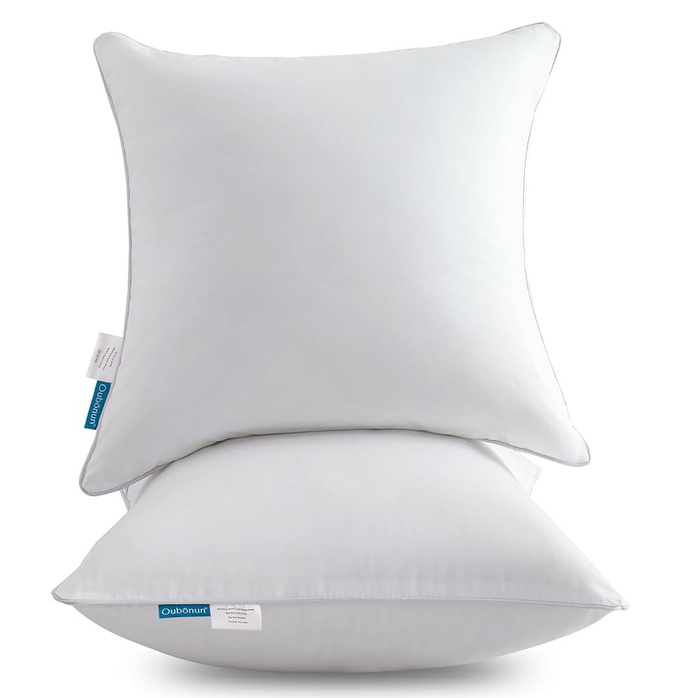 Oubonun 28 x 28 Pillow Inserts (Set of 2) - Euro Pillow Inserts with 100% Cotton Cover - 28 Inch ... | Amazon (US)