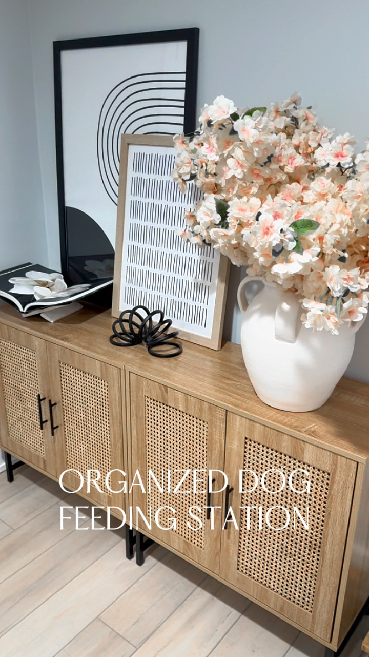Pet Organized Sideboard | Amazon (US)