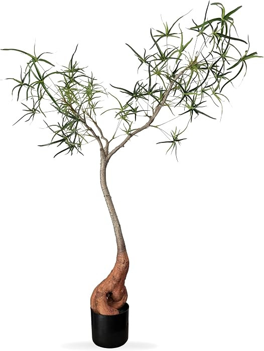 4FT Artificial Queensland Bottle Tree, Faux Indoor Accent Tree with Realistic Silk & Plastic Leav... | Amazon (US)