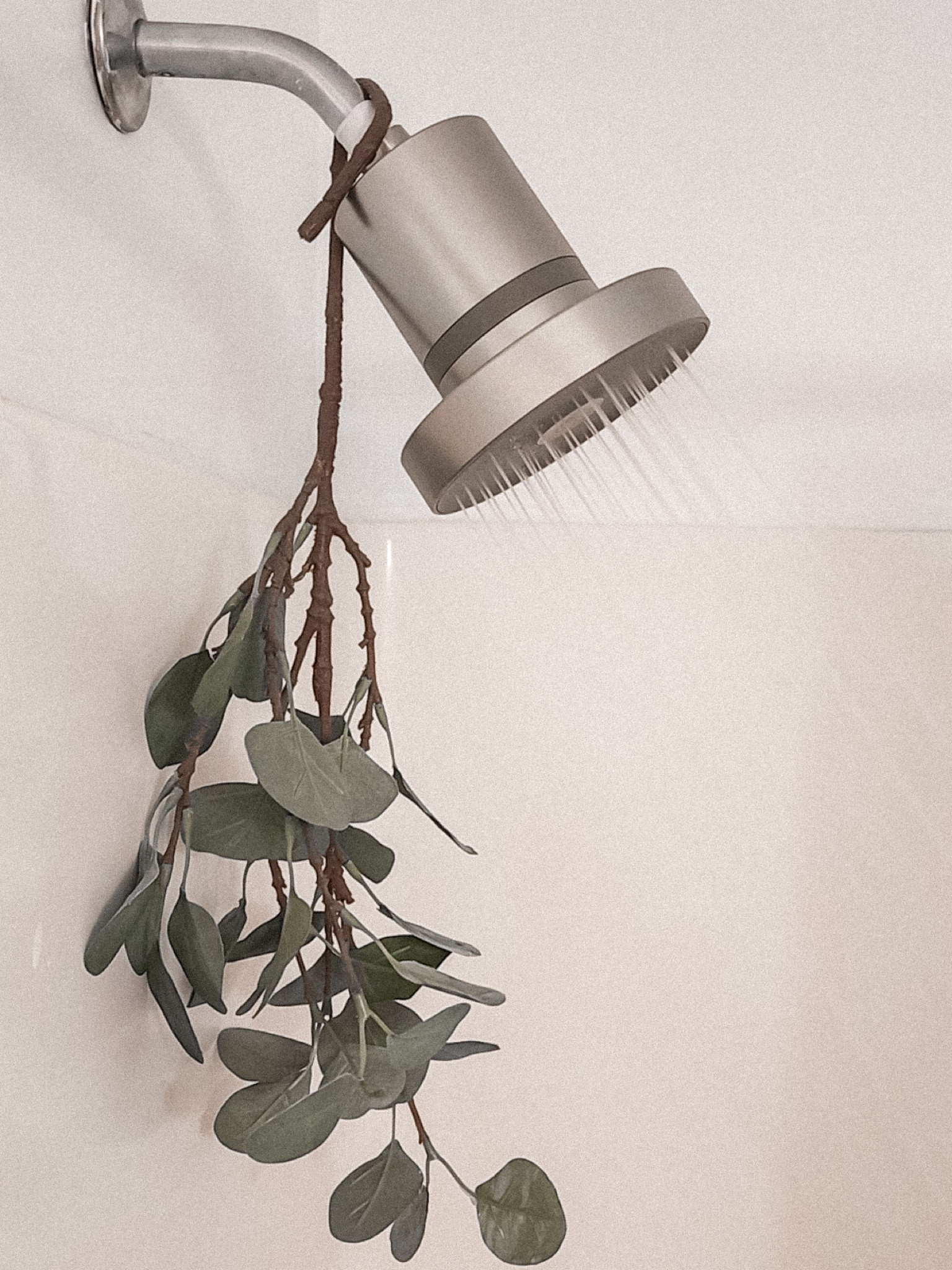 beauty starts with clean water 🚿 

#LTKGiftGuide #LTKhome #LTKbeauty