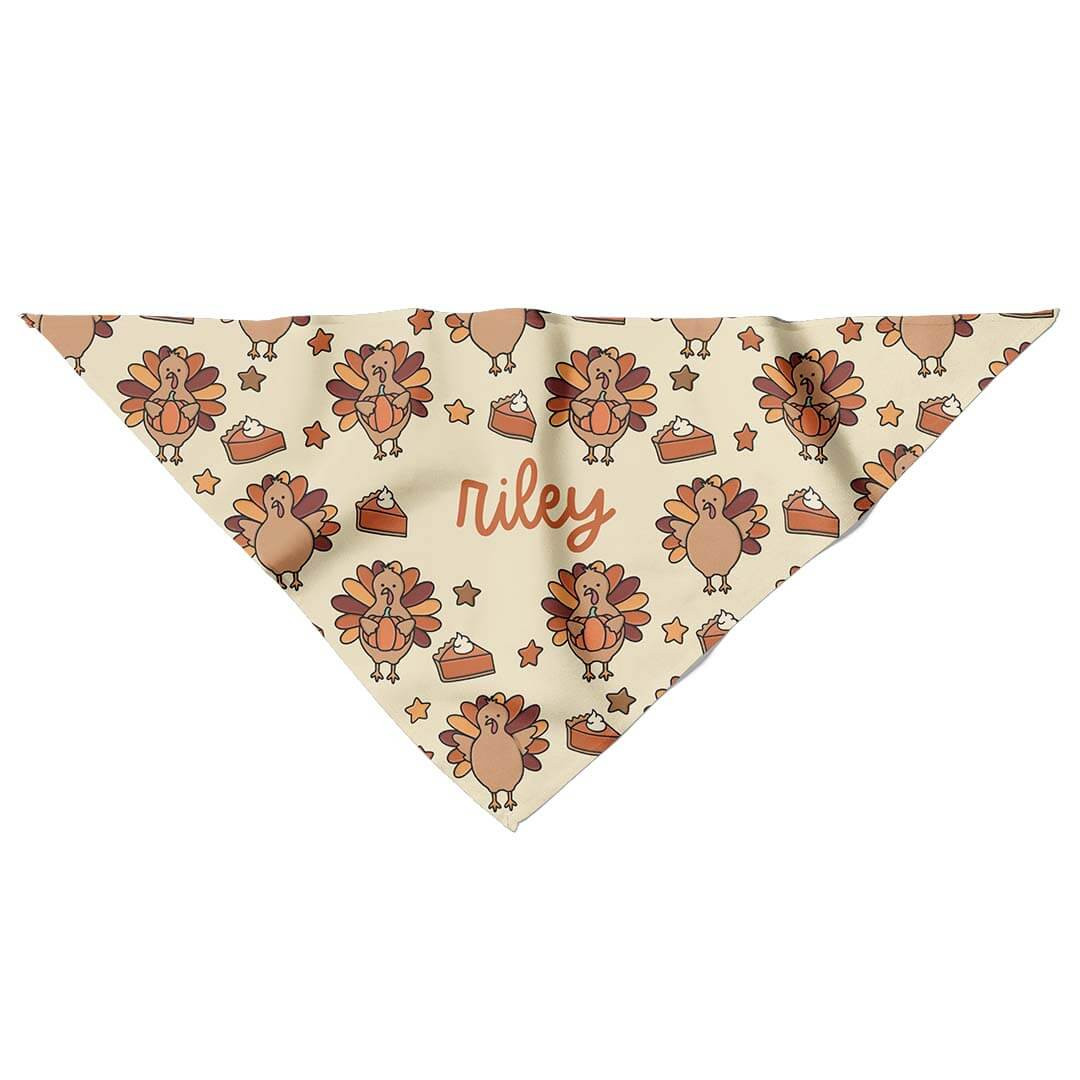 Turkey Time Personalized Pet Bandana | Caden Lane