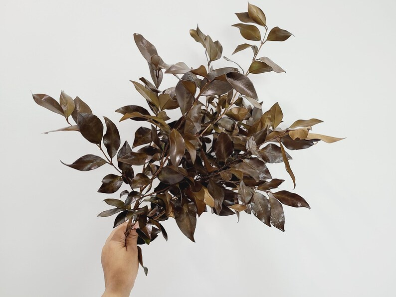 Preserved Brown Foliage Bunch Natural Rustic Fall Foliage Preserved Autumn Foliage Thanksgiving T... | Etsy (US)