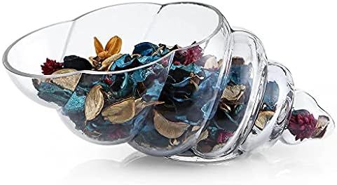 MDLUU Glass Shell Vase, 11-Inch Seashell Potpourri Holder, Large Decorative Conch Bowl for Shell Col | Amazon (US)