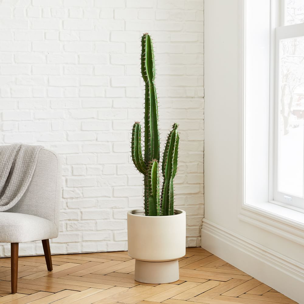 Faux Potted Cactus Plant &amp; Large Bishop Planter Bundle | West Elm (US)