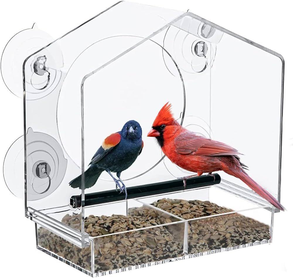 Jaykyfine Window Bird Feeder for Viewing - Clear Window Bird Feeders with Strong Suction Cups and... | Amazon (US)